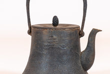 Load image into Gallery viewer, Japanese Cast-Iron Tea Kettle (teapot)