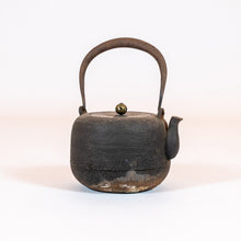 Load image into Gallery viewer, Japanese Cast-Iron Tea Kettle (teapot)