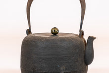 Load image into Gallery viewer, Japanese Cast-Iron Tea Kettle (teapot)