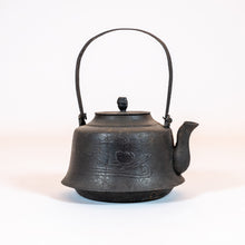 Load image into Gallery viewer, Japanese Cast-Iron Tea Kettle (teapot)