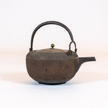 Load image into Gallery viewer, Japanese Cast-Iron Tea Kettle (teapot)