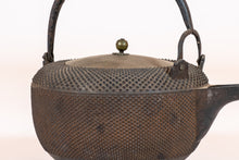 Load image into Gallery viewer, Japanese Cast-Iron Tea Kettle (teapot)