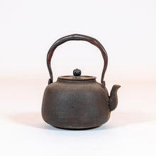 Load image into Gallery viewer, Japanese Cast-Iron Tea Kettle (teapot)