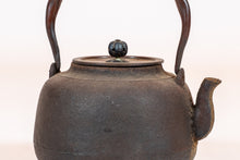 Load image into Gallery viewer, Japanese Cast-Iron Tea Kettle (teapot)