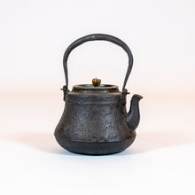 Load image into Gallery viewer, Japanese Cast-Iron Tea Kettle (teapot)