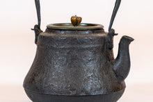 Load image into Gallery viewer, Japanese Cast-Iron Tea Kettle (teapot)