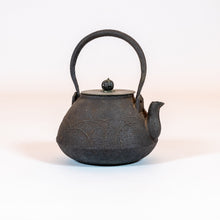 Load image into Gallery viewer, Japanese Cast-Iron Tea Kettle (teapot)