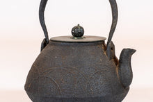 Load image into Gallery viewer, Japanese Cast-Iron Tea Kettle (teapot)