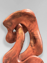 Load image into Gallery viewer, Sculpture 10
