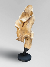 Load image into Gallery viewer, Sculpture 2
