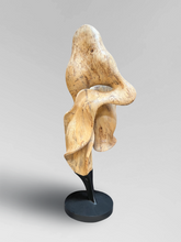 Load image into Gallery viewer, Sculpture 2
