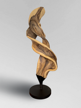 Load image into Gallery viewer, Sculpture 3
