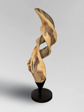 Load image into Gallery viewer, Sculpture 3
