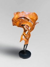 Load image into Gallery viewer, Sculpture 7
