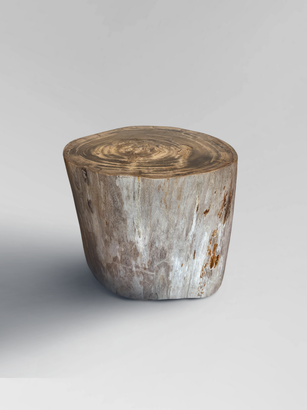Petrified Stool 3