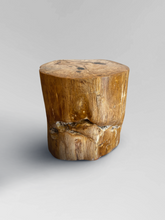 Load image into Gallery viewer, Petrified Stool 2
