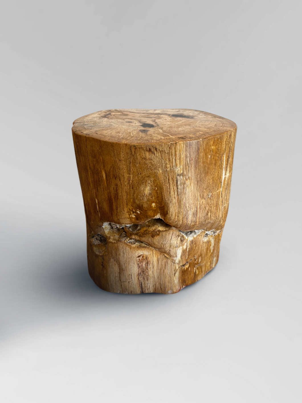 Petrified Stool 2