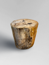 Load image into Gallery viewer, Petrified Stool 2

