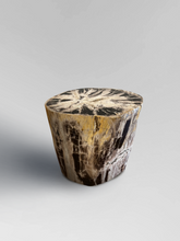 Load image into Gallery viewer, Petrified Stool 1
