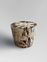Load image into Gallery viewer, Petrified Stool 1

