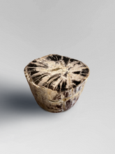 Load image into Gallery viewer, Petrified Stool 1
