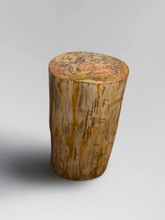 Load image into Gallery viewer, Petrified Stool 4
