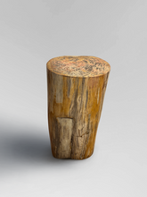 Load image into Gallery viewer, Petrified Stool 4

