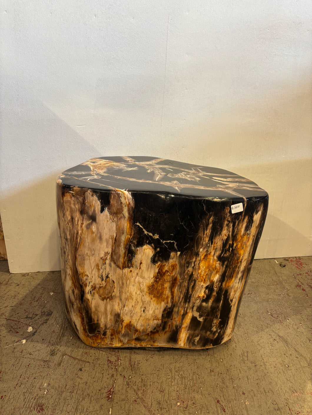 Petrified Stool 20