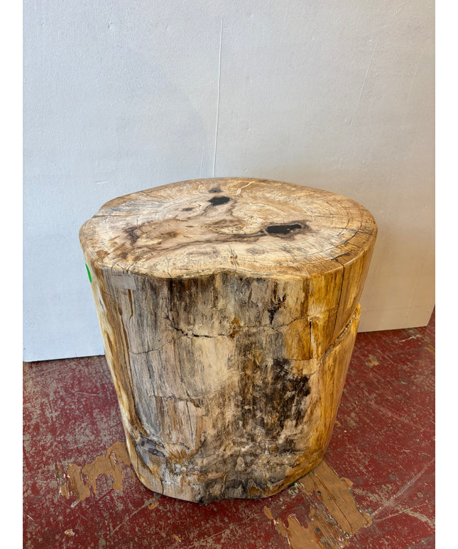 Petrified Stool 2