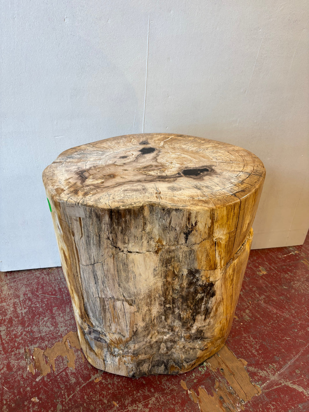 Petrified Wood Stool – 20