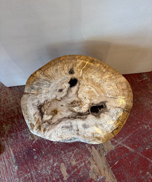 Petrified Stool 2
