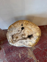 Load image into Gallery viewer, Petrified Wood Stool – 20&quot;L x 16&quot;W x 21.5&quot;H
