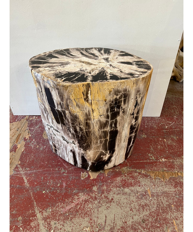 Petrified Stool 1