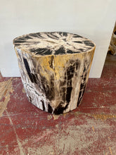 Load image into Gallery viewer, Petrified Wood Stool – 23&quot;L x 16&quot;W x 24&quot;H
