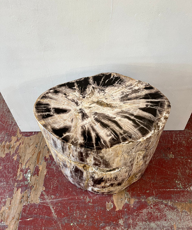 Petrified Stool 1