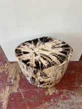 Load image into Gallery viewer, Petrified Wood Stool – 23&quot;L x 16&quot;W x 24&quot;H
