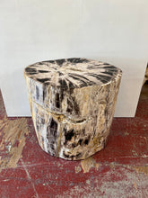 Load image into Gallery viewer, Petrified Wood Stool – 23&quot;L x 16&quot;W x 24&quot;H
