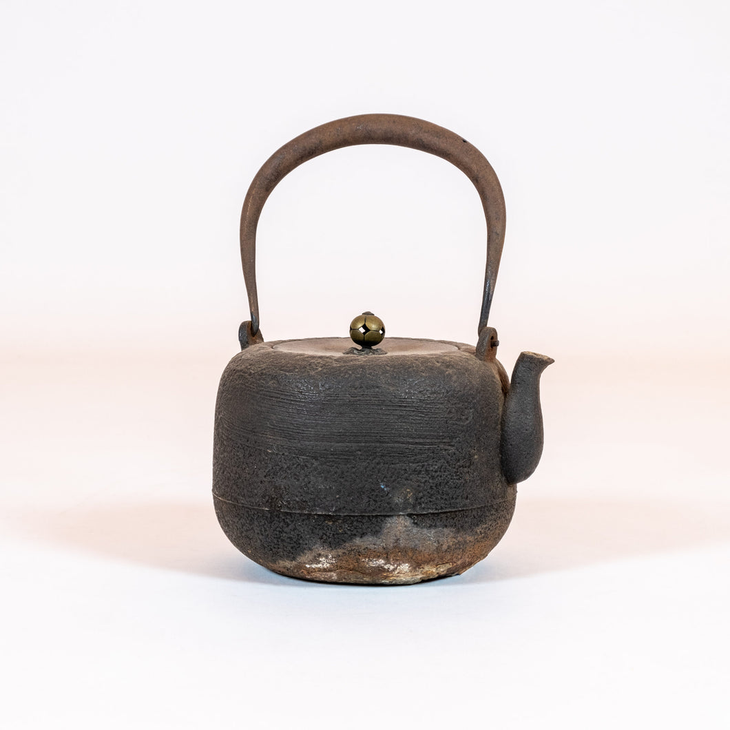 Japanese Cast-Iron Tea Kettle (teapot)