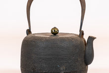 Load image into Gallery viewer, Japanese Cast-Iron Tea Kettle (teapot)
