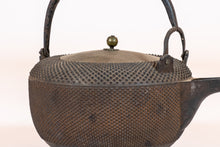 Load image into Gallery viewer, Japanese Cast-Iron Tea Kettle (teapot)
