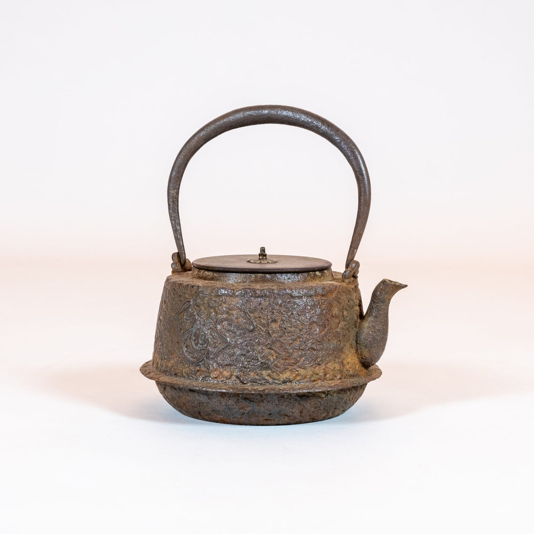 Japanese Cast-Iron Tea Kettle (teapot)