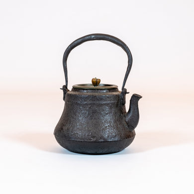 Japanese Cast-Iron Tea Kettle (teapot)