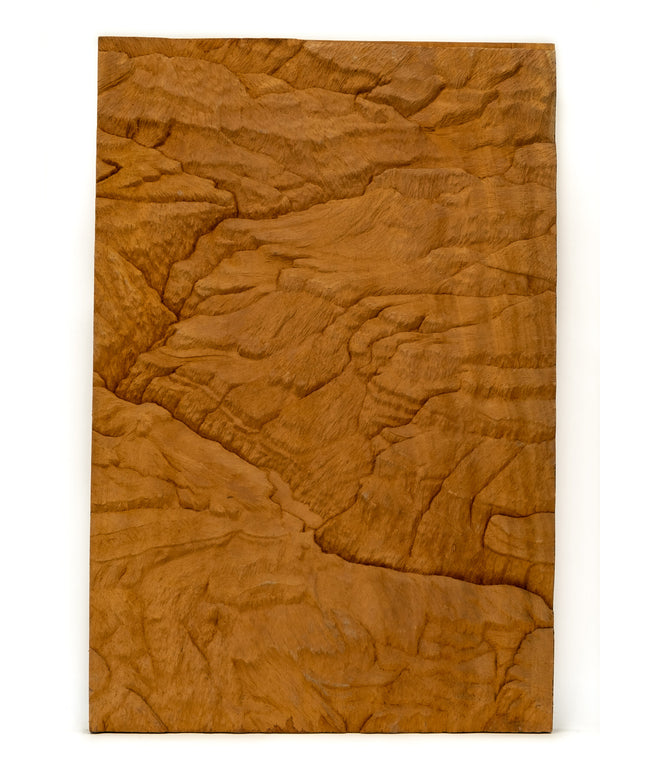 "Canyon" Studio Wood Carving